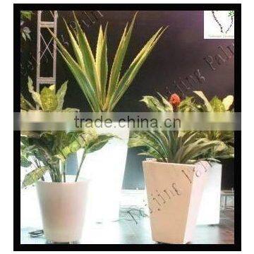 Plastic Pot Light Pot