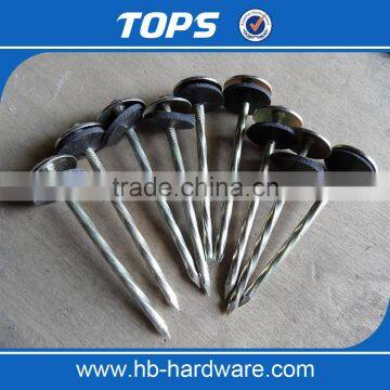 China corrugated umbrella roofing nails