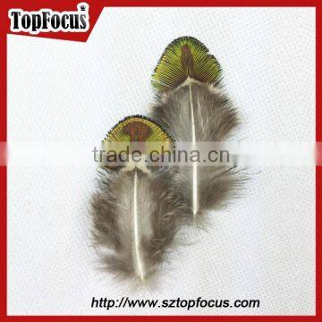 Hot Sale Designer Indian Cheap Natural Artificial Peacock Feathers photo-6
