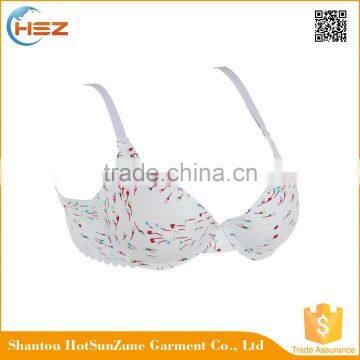 HSZ-58062 Wholesale Fashional Girls Underwear Bra New Design Extreme Lovely Underwear Bra Manufacturer In China