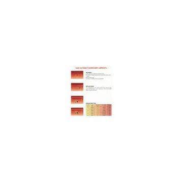 China (Mainland) The Slim Fluorescent Lamp(CCFL)