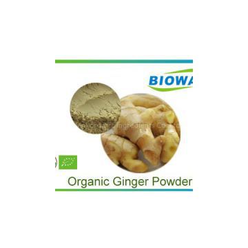 Organic Ginger Powder