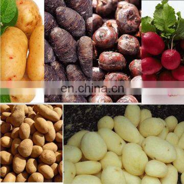 High Quality Automatic Electric Potato Peeler Industrial Potato Peeling Machine photo-6
