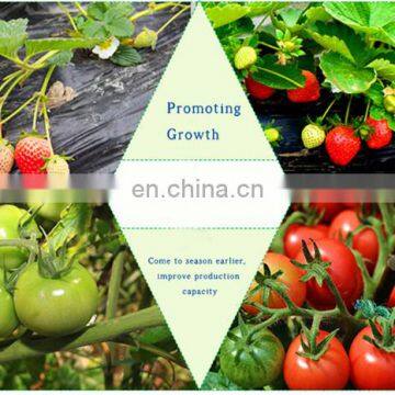 Relight Full Spectrum Led Strip Grow Lights for Vegetable Cultavation and Greens Growth photo-6