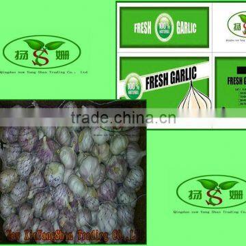 (HOT) Wholesale fresh purple garlic exporters in China