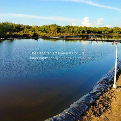 Geomembrane for Fish Farming Use in Italy photo-2