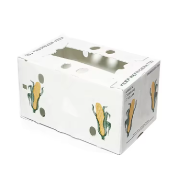 Reusable PP Hollow Packaging Box – Corrugated Plastic Crate for Fruit and Vegetable Transport