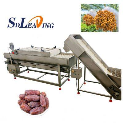 SDLEADING Full-Automatic Passion Fruit Production Line Date Washing Cleaning Processing Machine Food Sterilizer for Vegetable