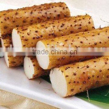 Chinese Fresh Wild Yam photo-2