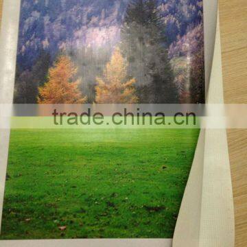 Fire resistance PVC coated polyester fabric for flex banner