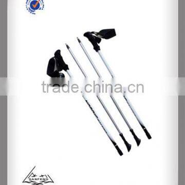 carbon nordic walking stick