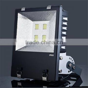 100% waterproof top quality housing & good finish high power brand cob 200w led project lamp