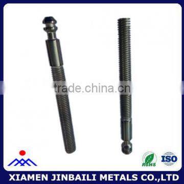 Customized stainless steel screws