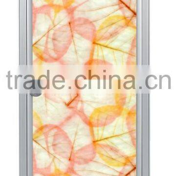 Modern aluminum colored glass door