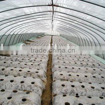 PE Agricultural black plastic perforated mulch film with holes for strawberry