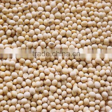 Thailand Origin Soybean Seed