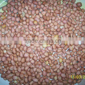 Roasted Peanuts