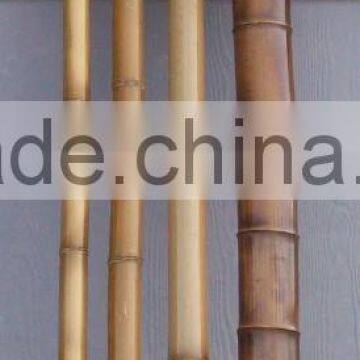 Bamboo poles for garden plant from Vietnam
