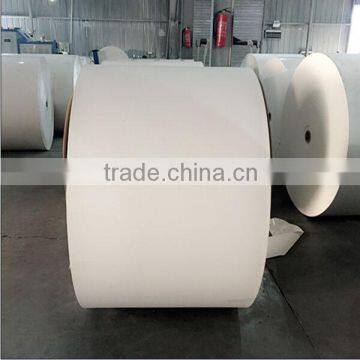 Food Grade PE Coated Paper