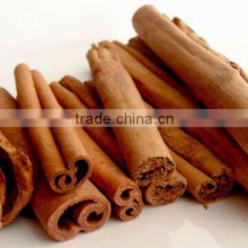 Best Exporter of Natural Cinnamon Oil