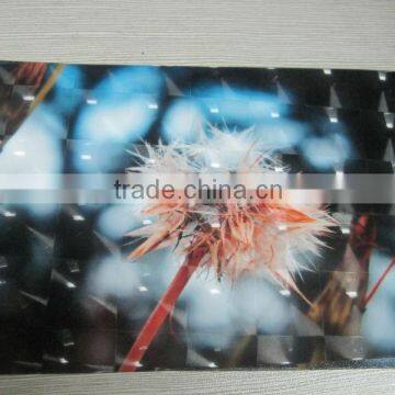 Good Price Texture Laminating Film photo-4