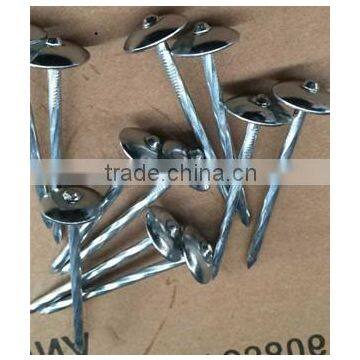 umbrella head smooth shank twist shank roofing nails