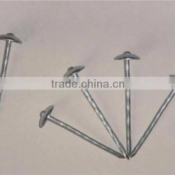 galvanized nails roofing nails/steel nails
