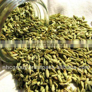 Fennel Seed