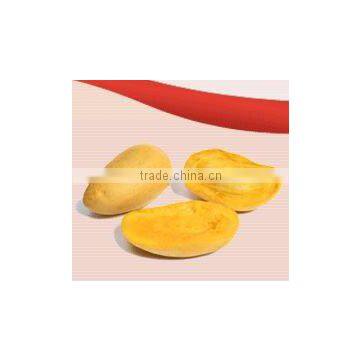 Aseptic Mango Puree