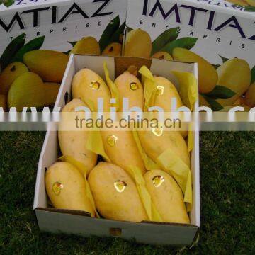 Fresh Mango