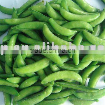 2013 new season frozen sugar snap pea