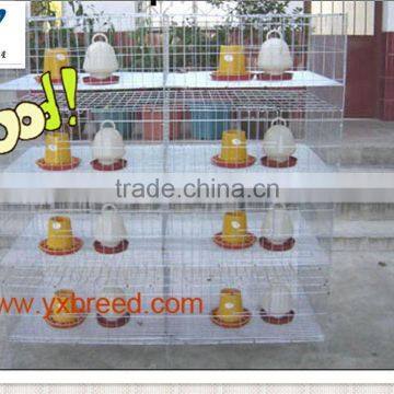 H type chicken farm broiler cages