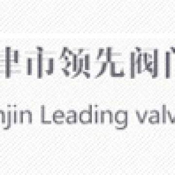 Tianjin Leading Valve Manufacture Co., Ltd.