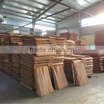 Eucalyptus Core Veneer 1270x640x1.7mm