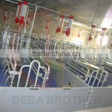 Made in China Deba Breeding Crate for Pigs for Sales