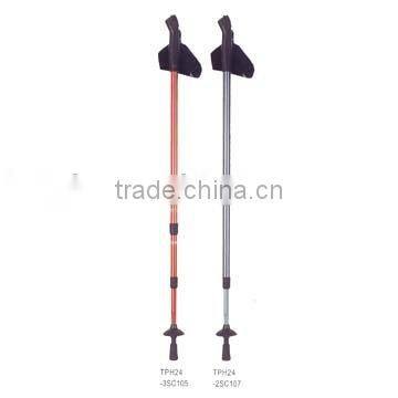 Nordic Walking Stick