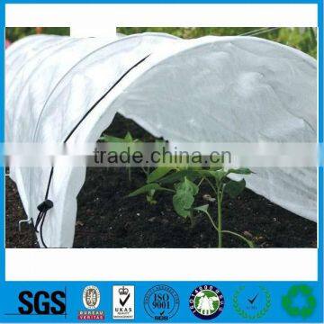 Nonwoven Fabric for Agriculture photo-3