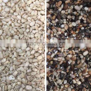 2017 Intelligent Image Double Side Ccd Camera Bean Color Sorting photo-5