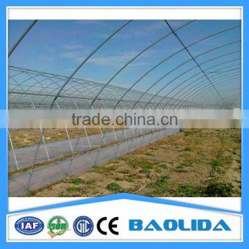 Low Cost Greenhouse photo-3