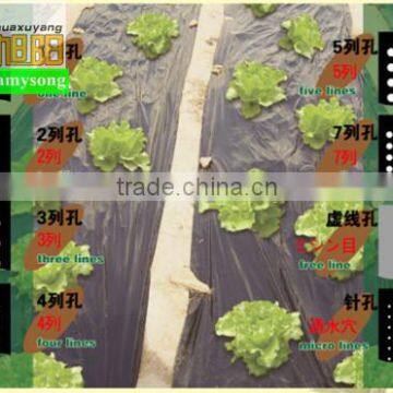 Agricultural black plastic perforated mulch film with holes for strawberry