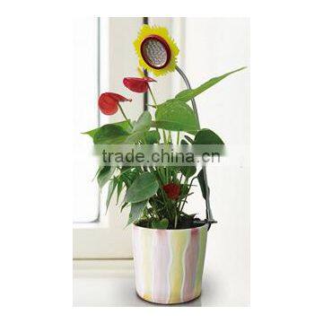 3w Desktop LED Grow Light for Indoor Flower Pot photo-2