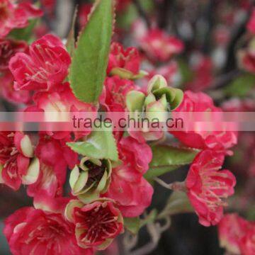 Cherry Blossoms Artificial Floral Tree Decorations,Fake Cherry Blossom Tree For Sale photo-3