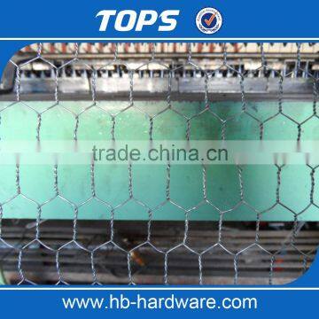 Galvanized Hexagonal Chicken Wire Netting photo-5