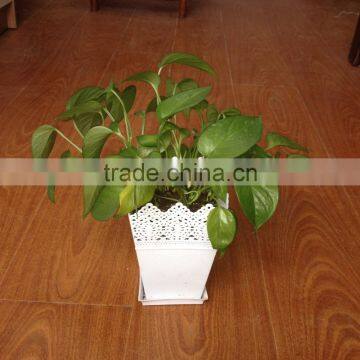 Square Lace Brim Plastic Garden Flower Pot photo-6