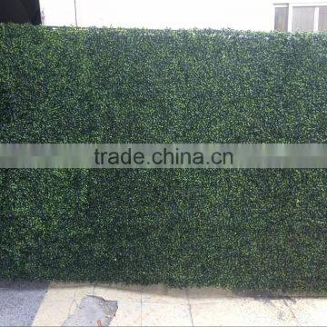 Real Touch Artificial Mangosteen Lawn photo-4