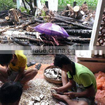 Super special Vietnamese Agarwood chunks