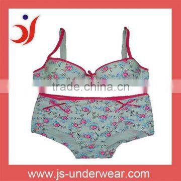 sexy girl wear bra