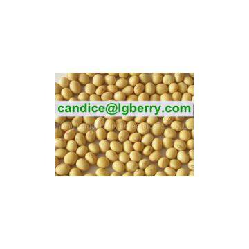 100% Natural Textured Soya Protein (NON-GMO Soybean)