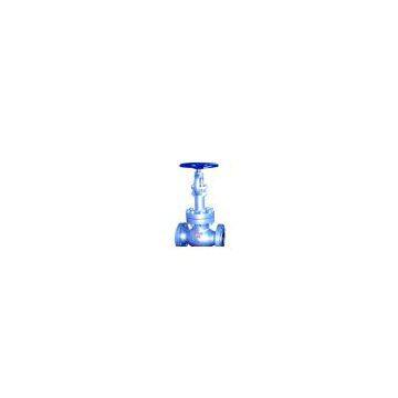 Lower Temperature Globe Valve