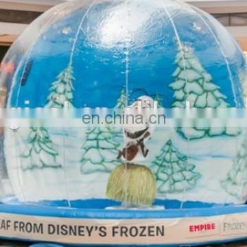 Take Photo Snow Globe with Backdrop